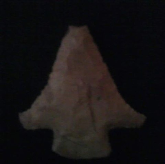 Meet your Posher, Bryan - Picture 1 of 1